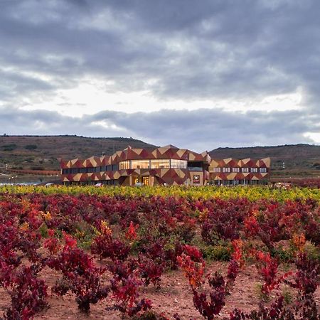 Hotel Bodega Fya - Grupo Pierola Navarrete Dış mekan fotoğraf